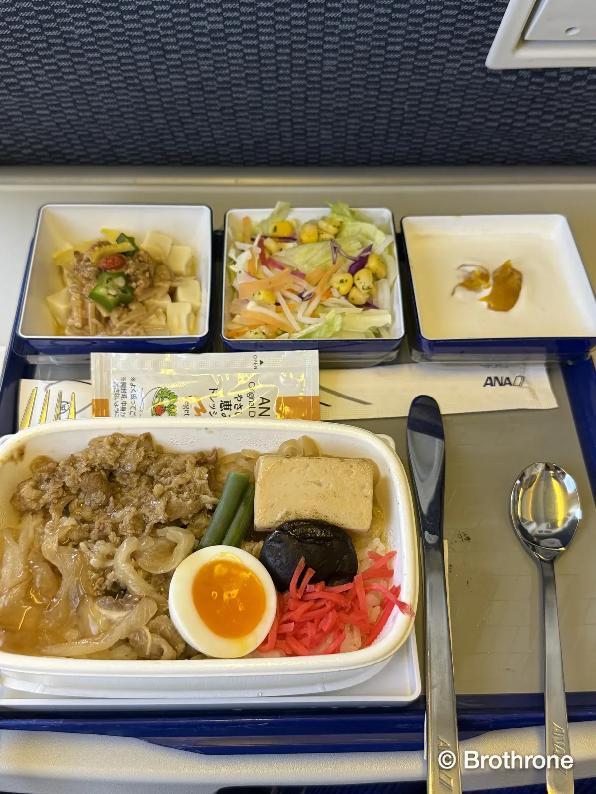 Warm hot meal served on ANA short-haul international service