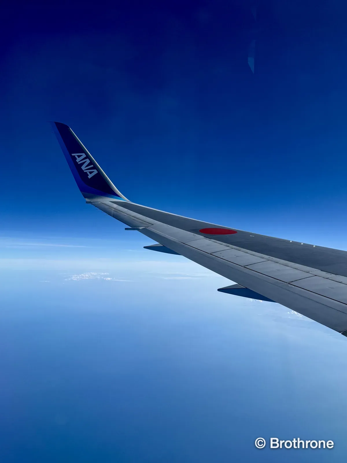 Cruising above the cloud deck under clear blue skies