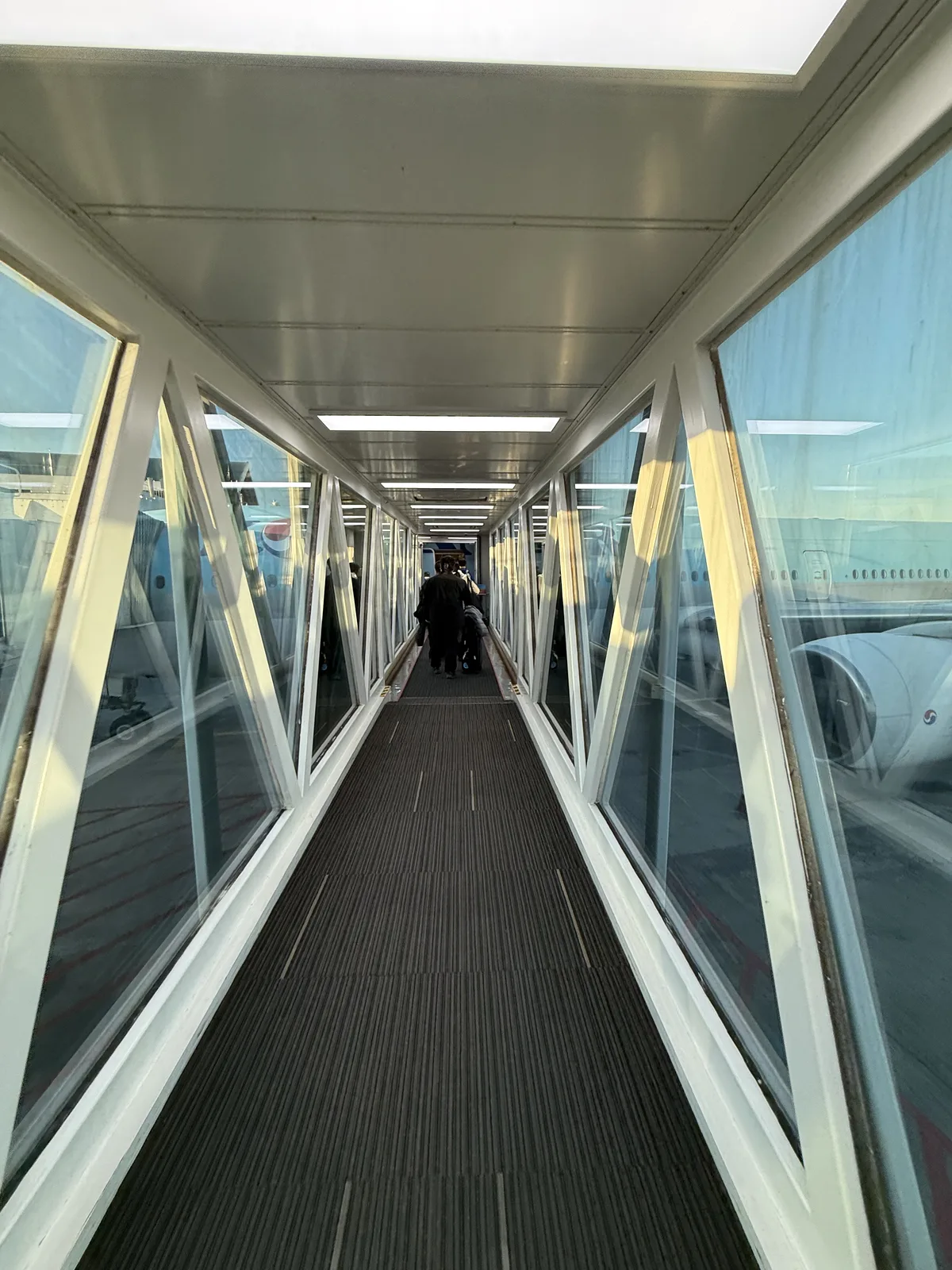 Visit Japan Web registration screen on phone during boarding