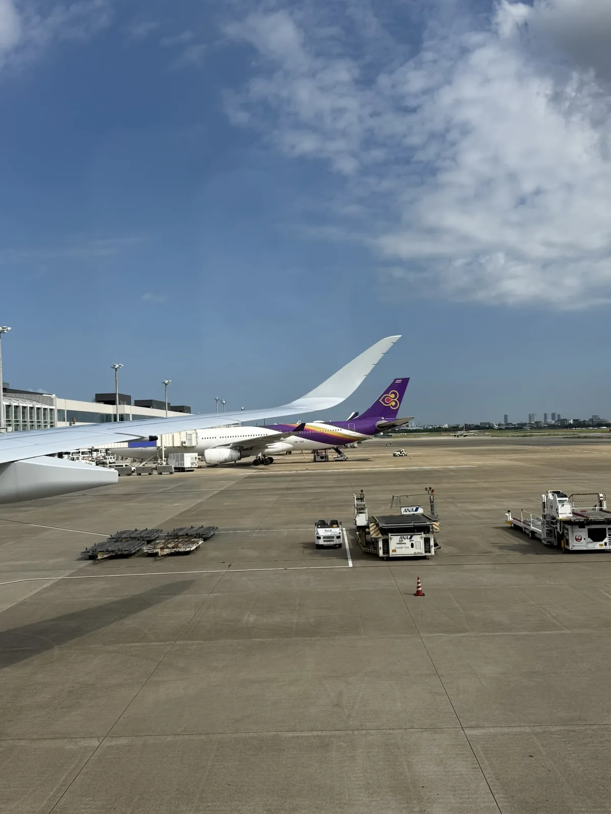 Thai Airways A330 visible from window at Fukuoka Airport