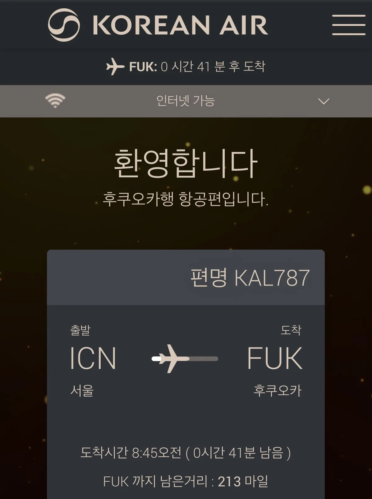 Korean Air in-flight app showing KE787 distance remaining: 213 miles, 41 minutes