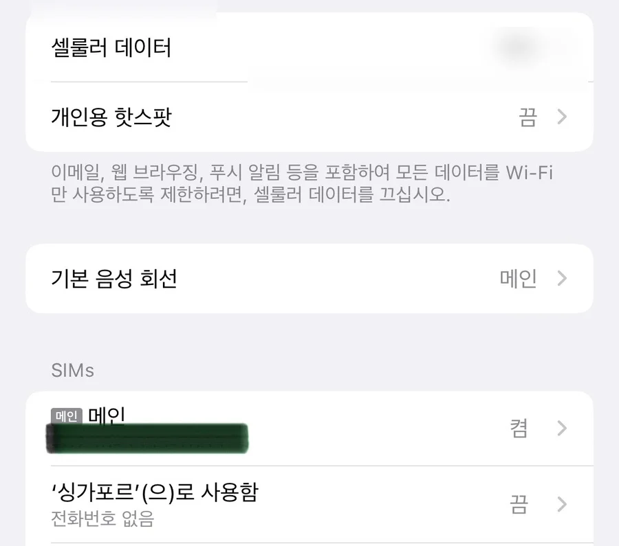 아이폰 기본 음성 회선 및 셀룰러 데이터 회선 설정