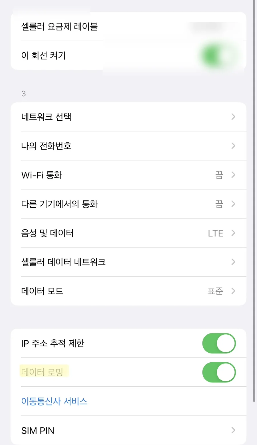 여행용 유심에서 이 회선 켜기 및 데이터 로밍 켜기