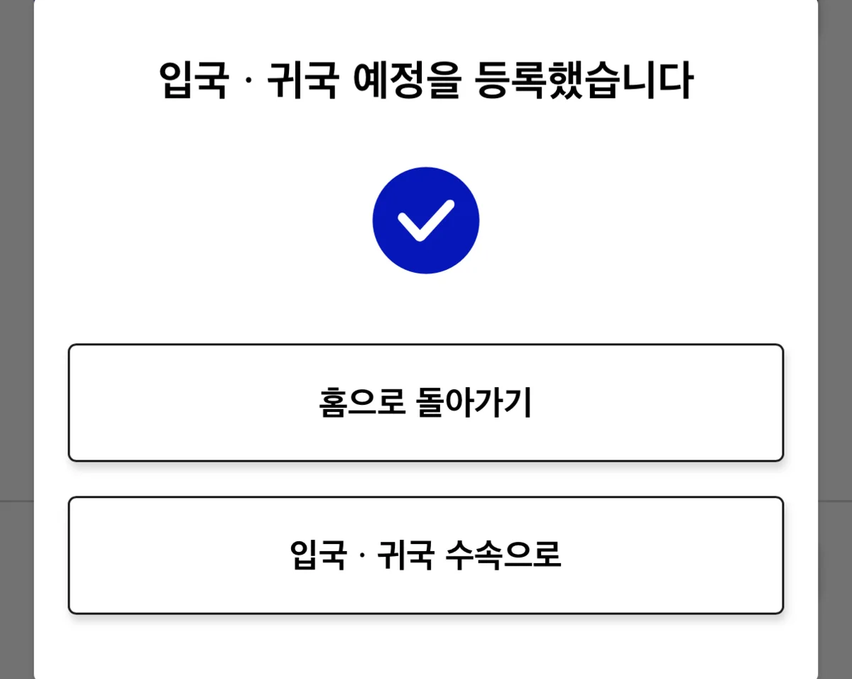 Visit Japan Web trip registration completion screen with entry information confirmed