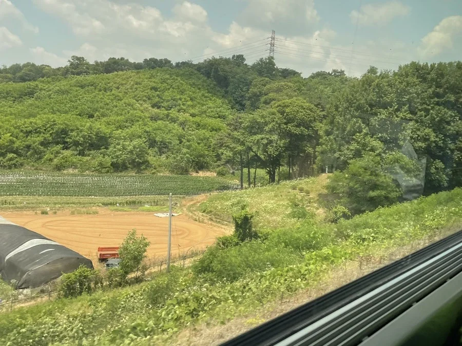 KTX 창밖으로 보이는 초여름 푸른 산과 들판
