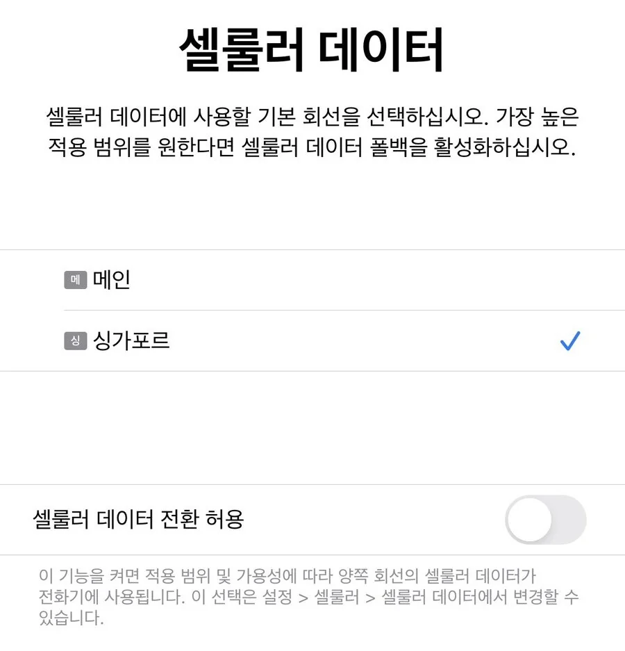 싱가포르 현지 통신사 셀룰러 데이터 회선 설정 화면