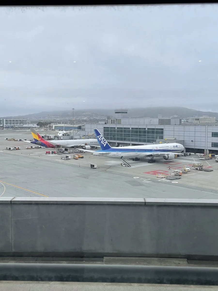 공항 인근 계류장에 주기되어 있는 아시아나항공과 ANA 항공기