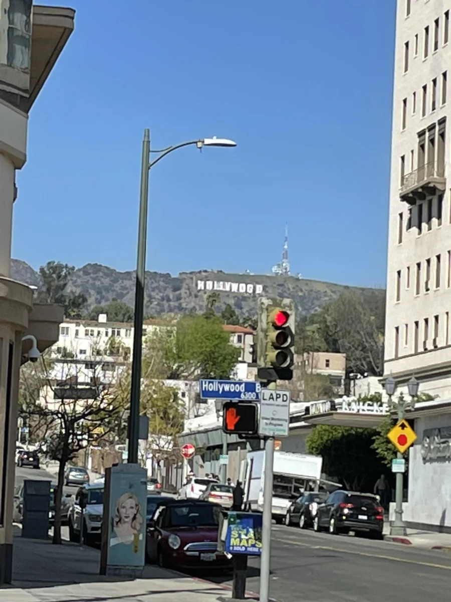 건물 사이로 저 멀리 산자락에 또렷하게 보이는 전설의 HOLLYWOOD 사인
