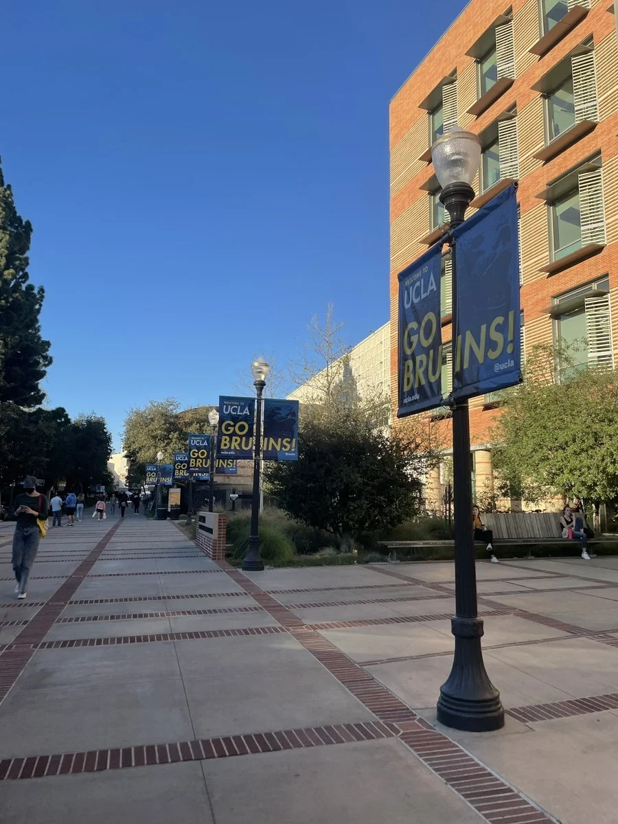 UCLA 브루인스(BRUINS) 배너가 걸린 탁 트인 캠퍼스 메인 통로