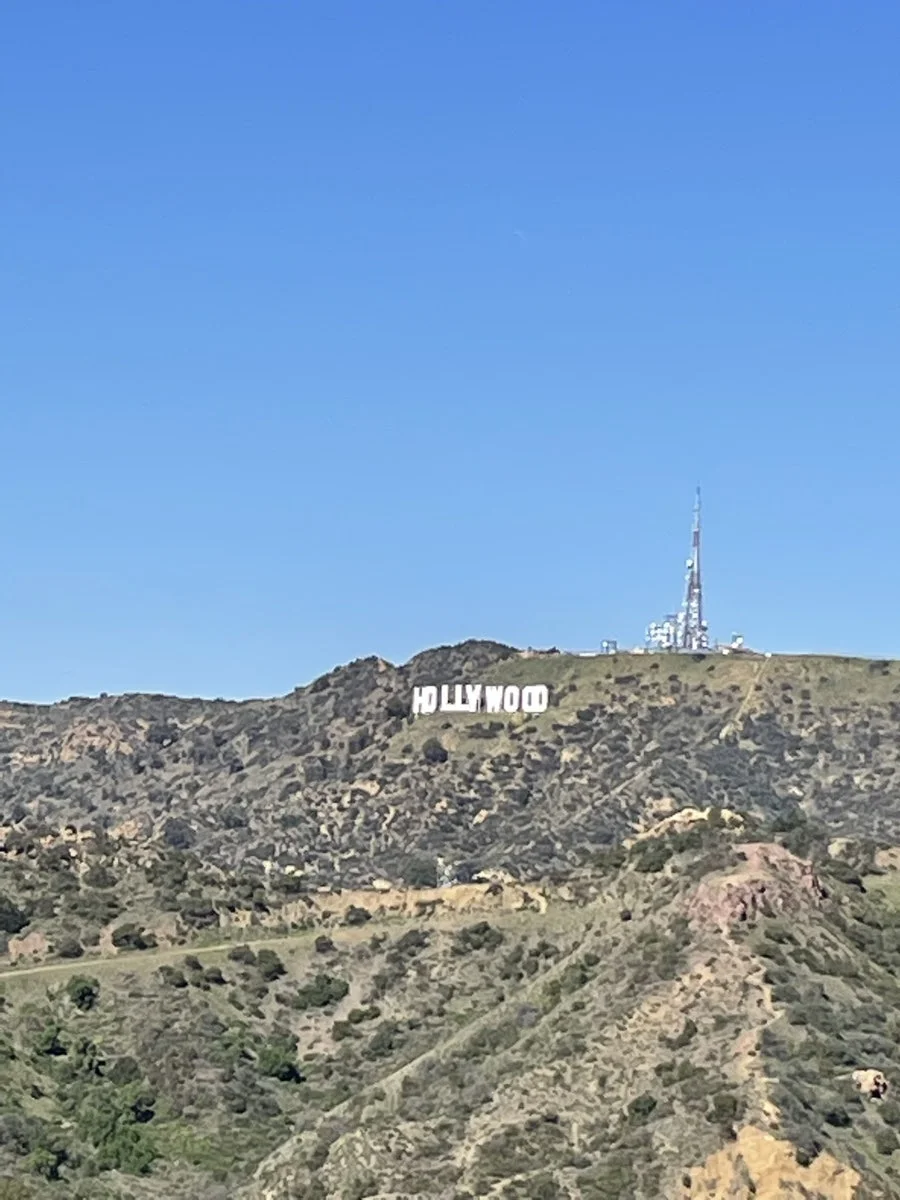 마운트 리(Mount Lee) 언덕 능선 위에 선명하게 자리 잡은 상징적인 할리우드 사인(Hollywood Sign)